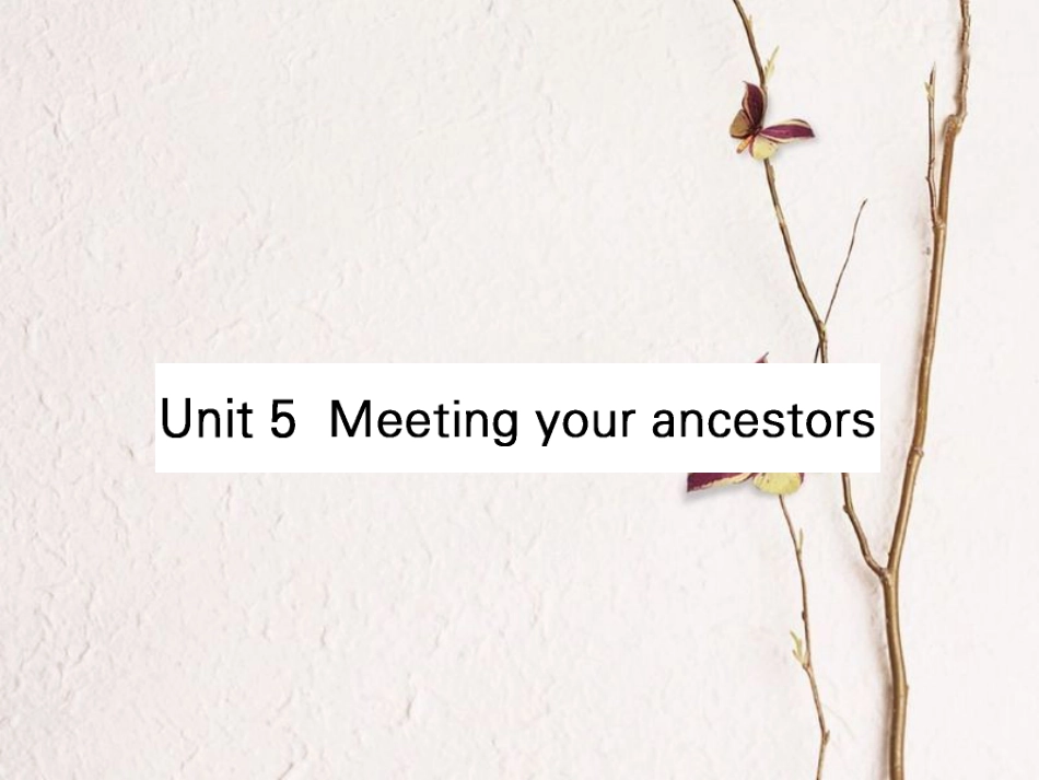 (全国)高考英语一轮复习 Unit 5 Meeting your ancestors课件 新人教选修8_第1页
