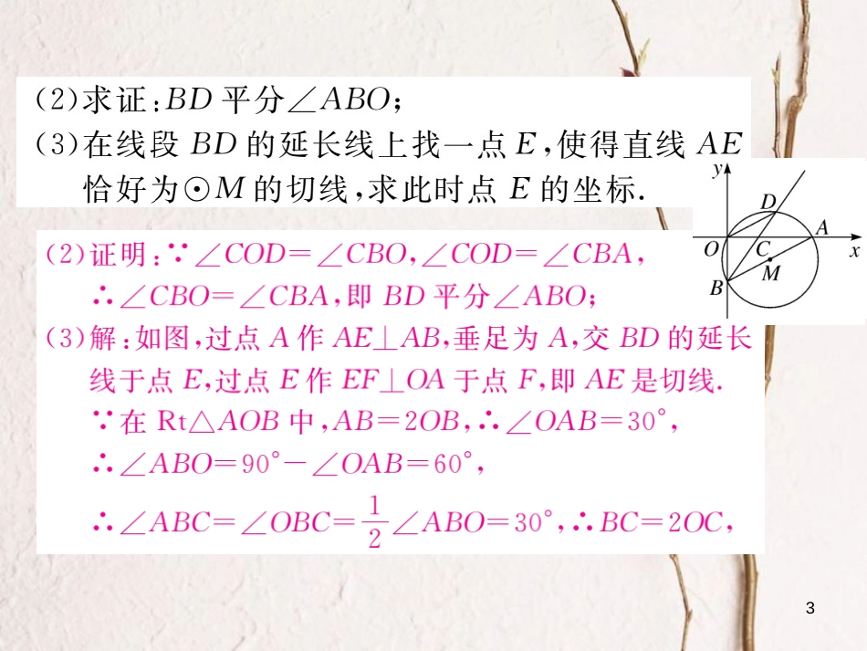 江西省中考数学 高频考点专题 圆与其他知识的综合课件_第3页