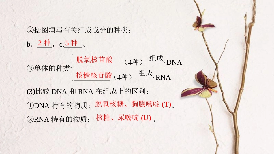 高三生物一轮复习 第1单元 核酸糖类和脂质课件 新人教版必修1_第3页