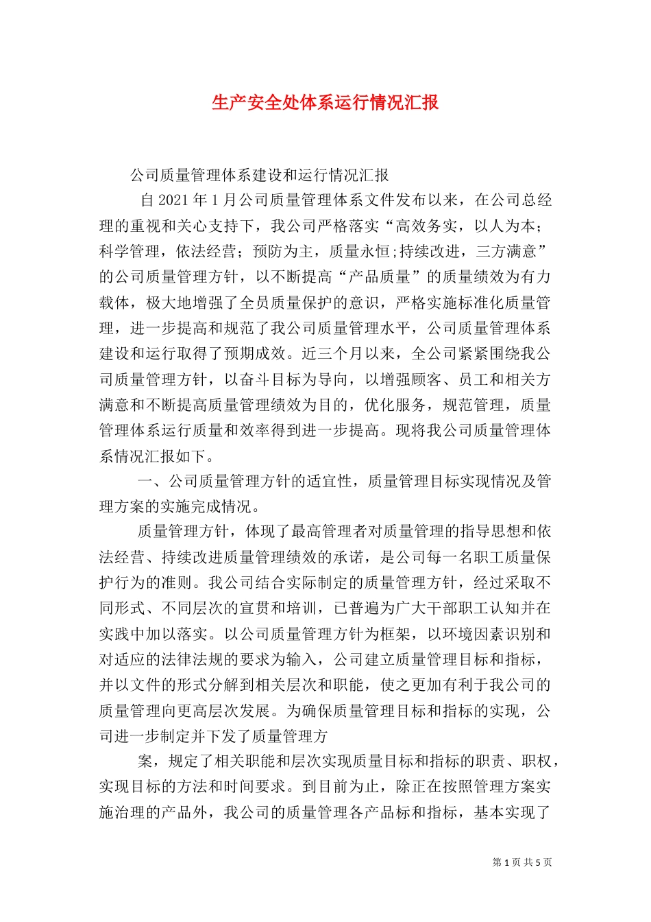 生产安全处体系运行情况汇报（一）_第1页