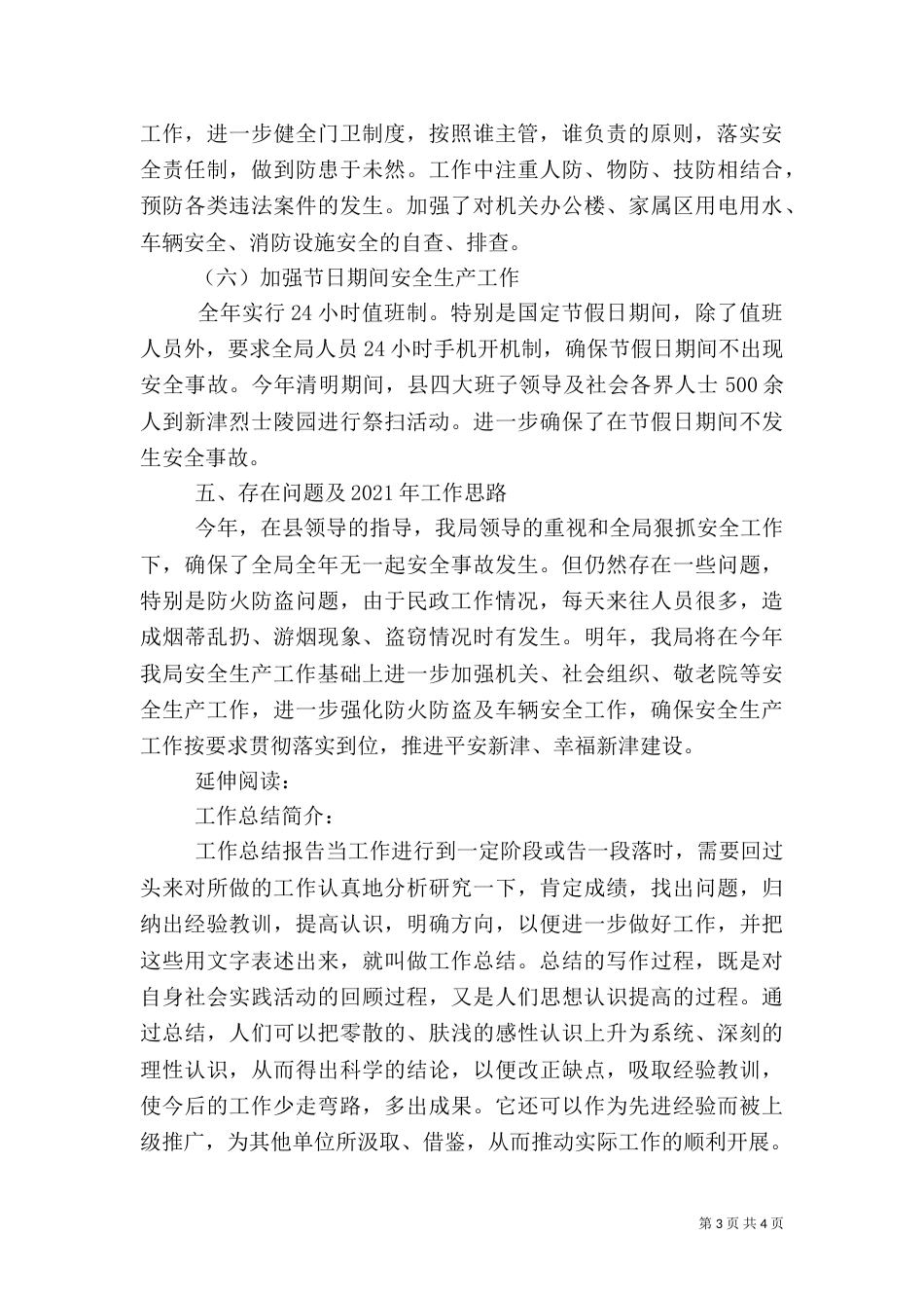 民政局安全生产工作总结_第3页