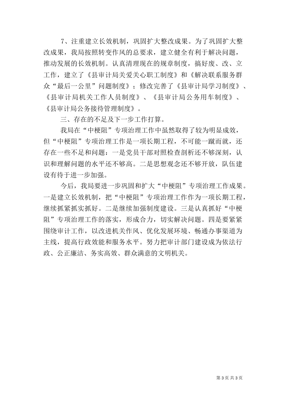 审计局中梗阻专项整治工作总结（一）_第3页