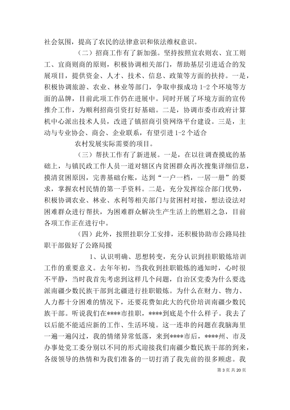 挂职干部工作总结精选_第3页