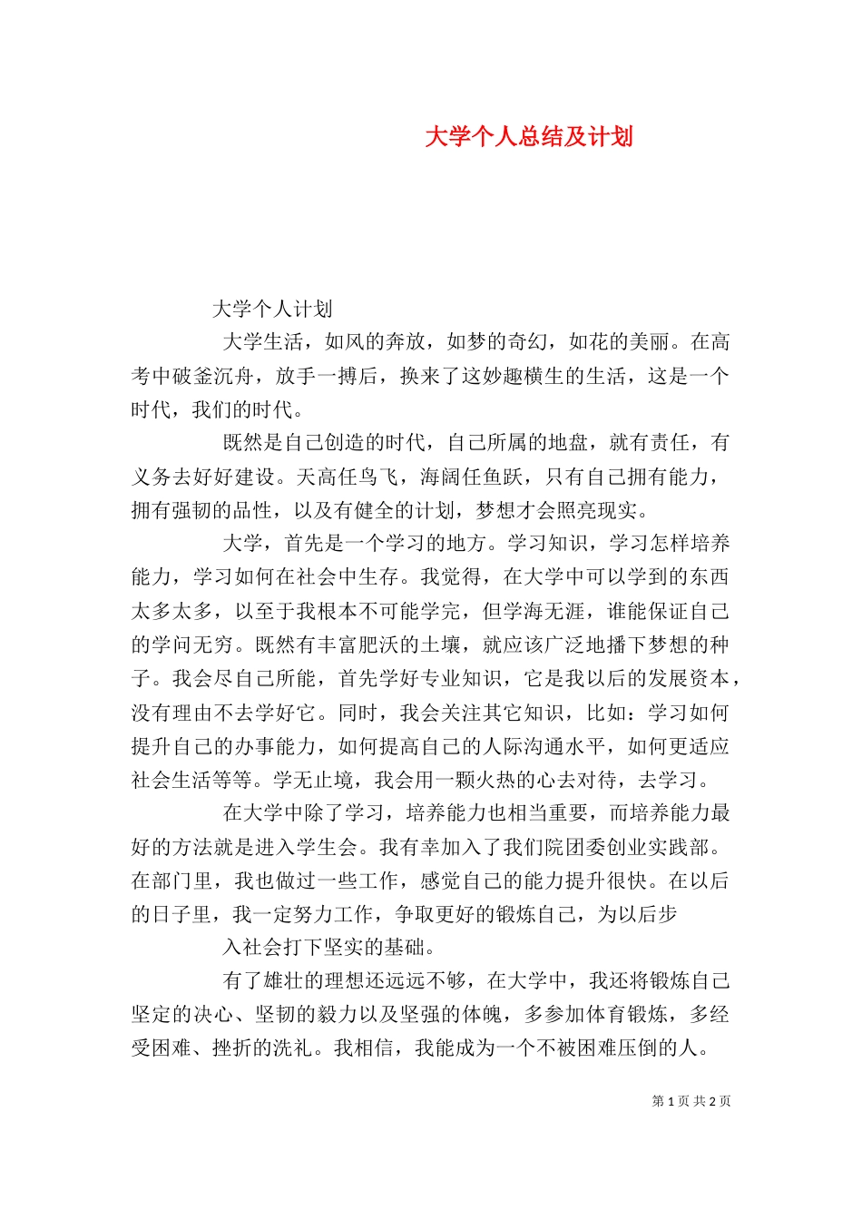 大学个人总结及计划_第1页