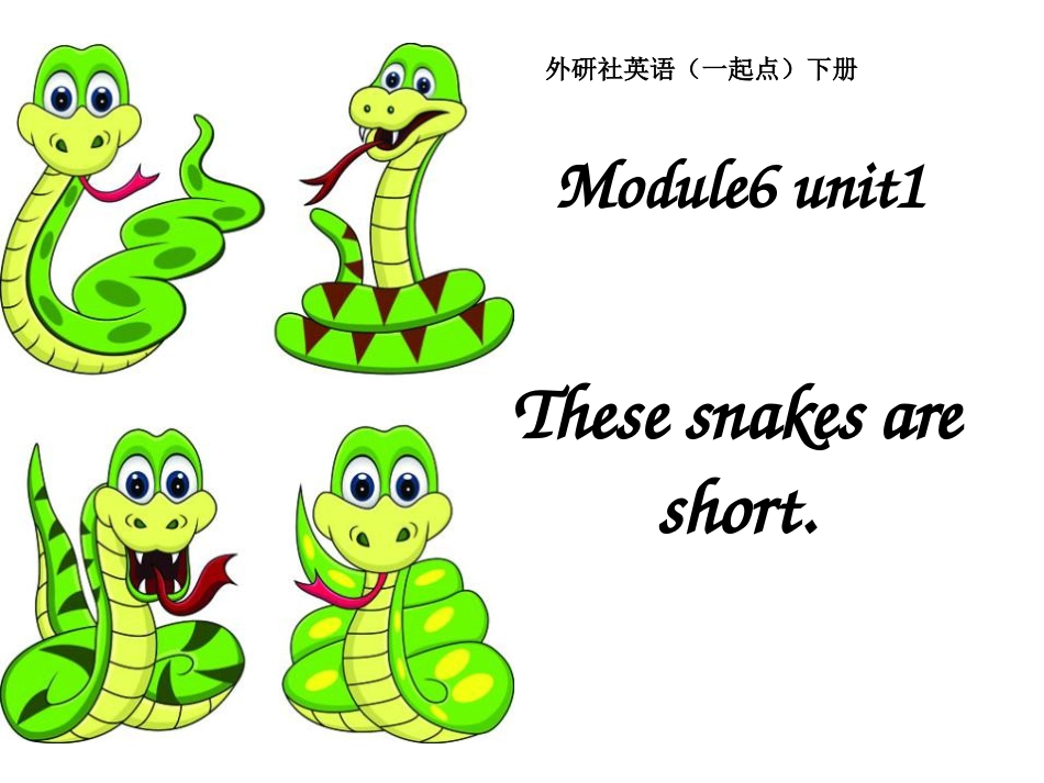 《Thesesnakesareshort》PPT课件4[16页]_第1页