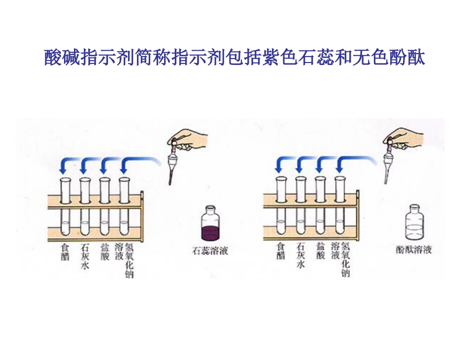 《常见的酸和碱》PPT课件._第3页