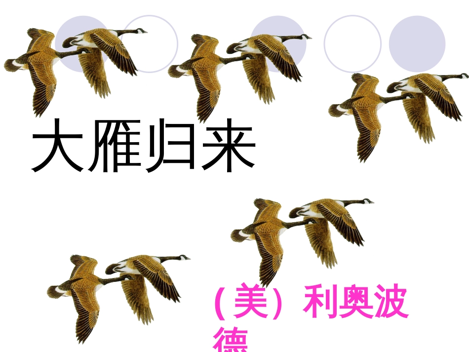 《大雁归来》PPT课件[53页]_第1页