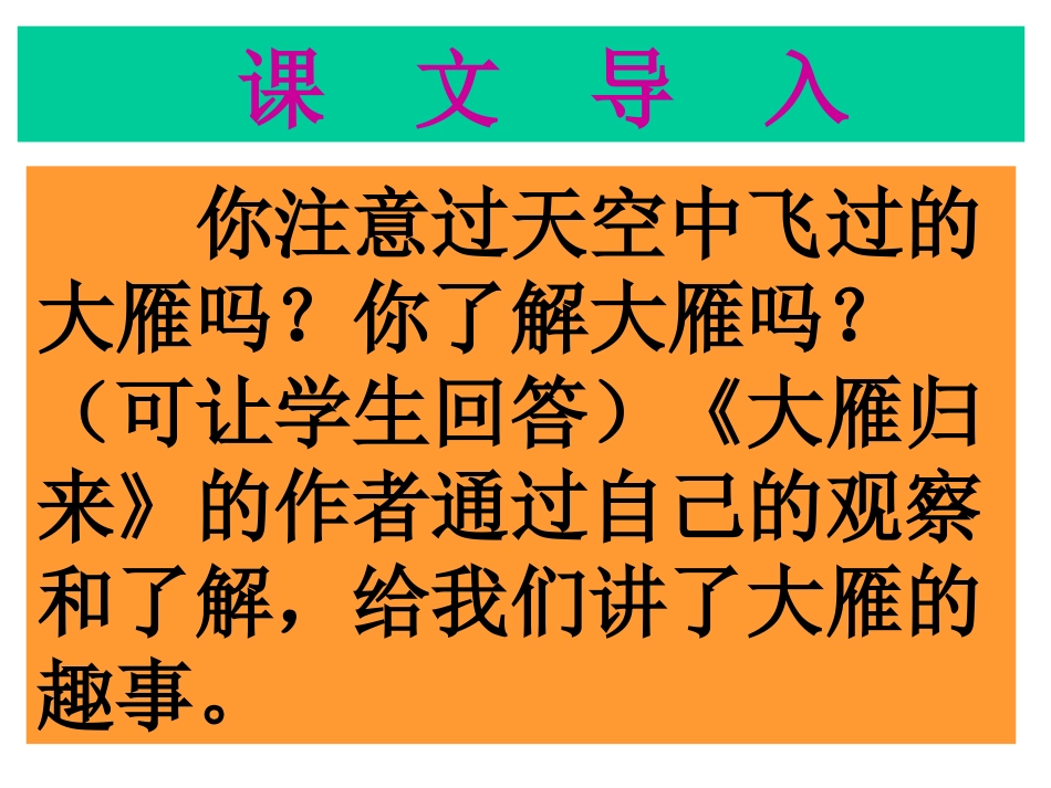 《大雁归来》PPT课件[53页]_第2页