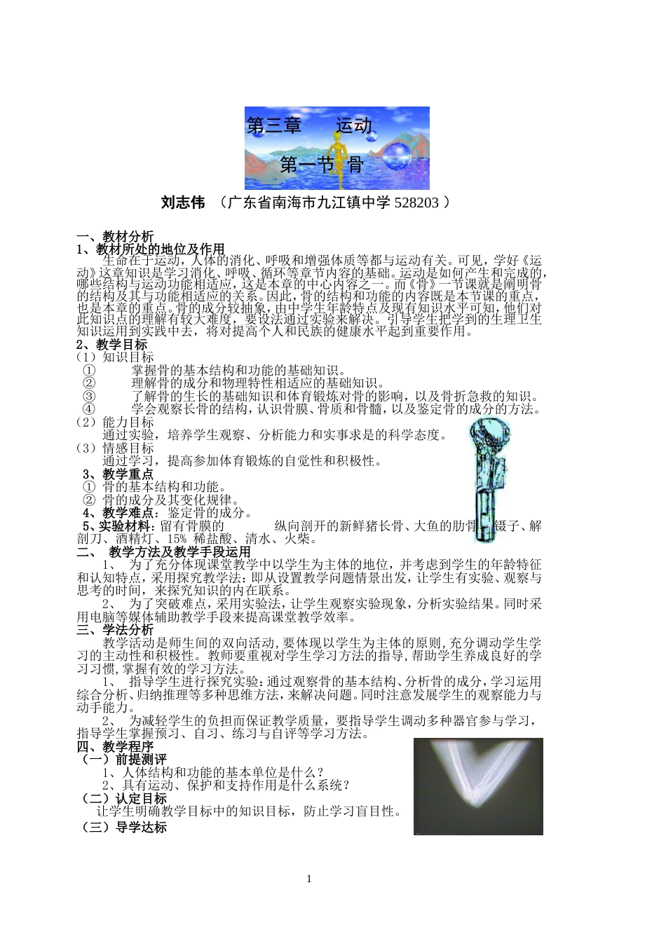 《骨》教案[4页]_第1页