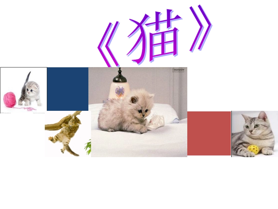 《猫》说课稿课件[20页]_第1页