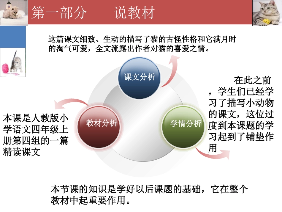 《猫》说课稿课件[20页]_第3页