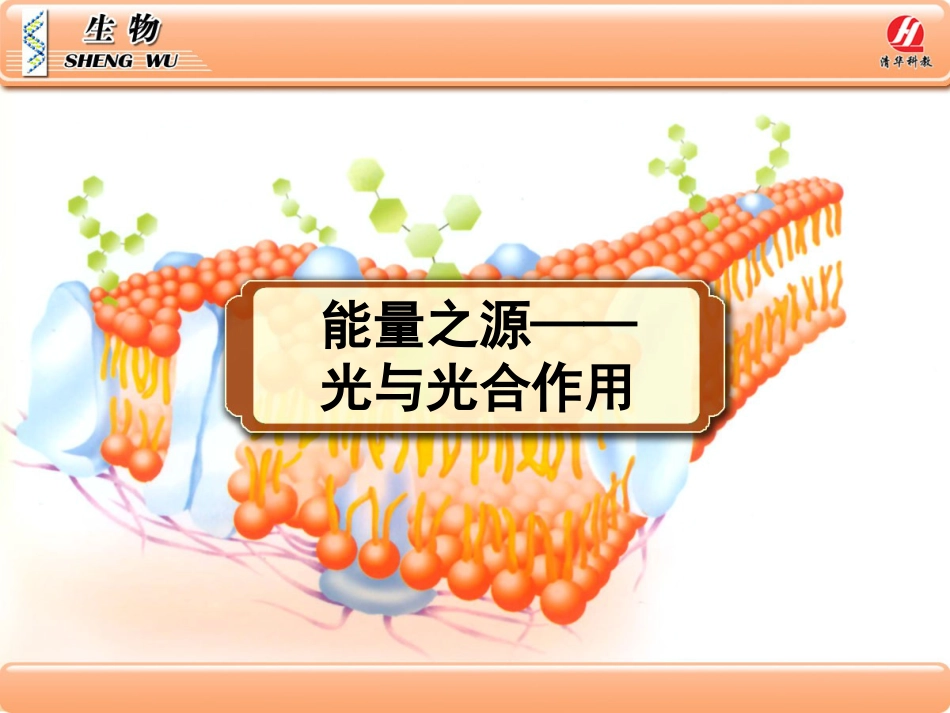 《能量之源——光与光合作用》PPT课件[59页]_第1页