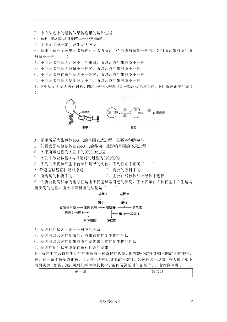 【备战高考】届高三生物一轮复习 基因的表达单元测试_第2页