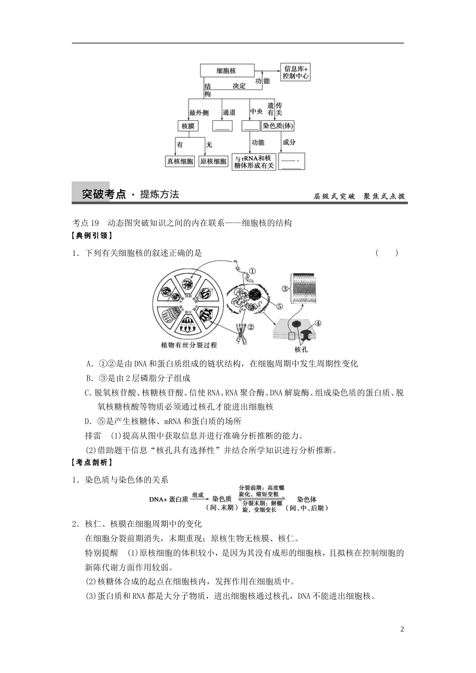 【步步高】高考生物大一轮复习 第7课时 细胞核——系统的控制中心_第2页