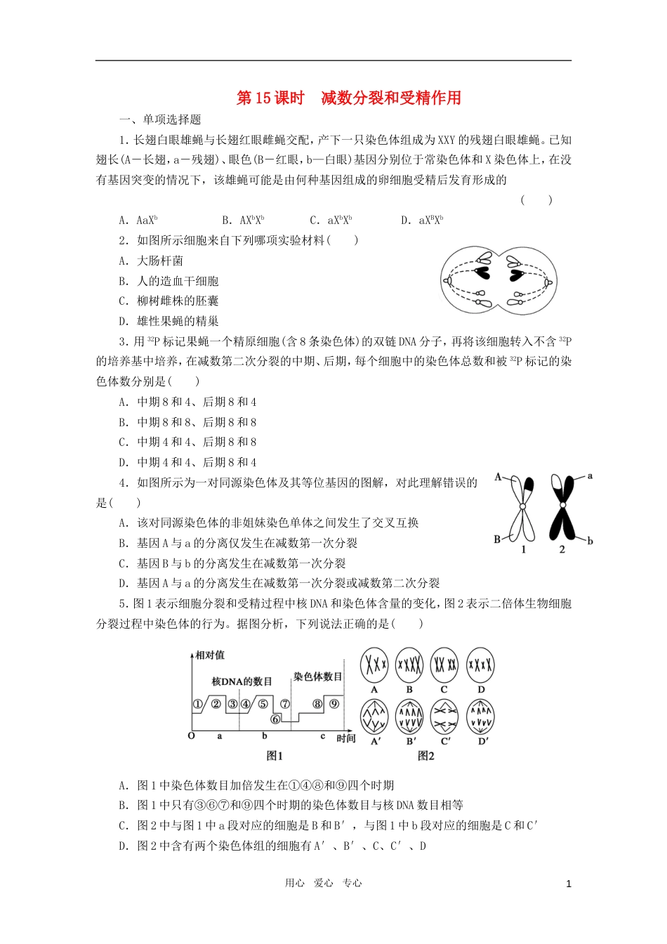 【步步高】高三生物一轮复习 第4单元 第15课时减数分裂和受精作用课堂练习_第1页