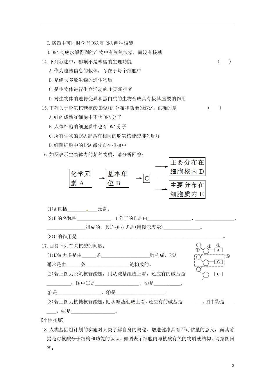 【步步高】学年高中生物 第二章 细胞的化学组成 第6课时 核酸的结构和功能同步课时检测 苏教版必修1_第3页