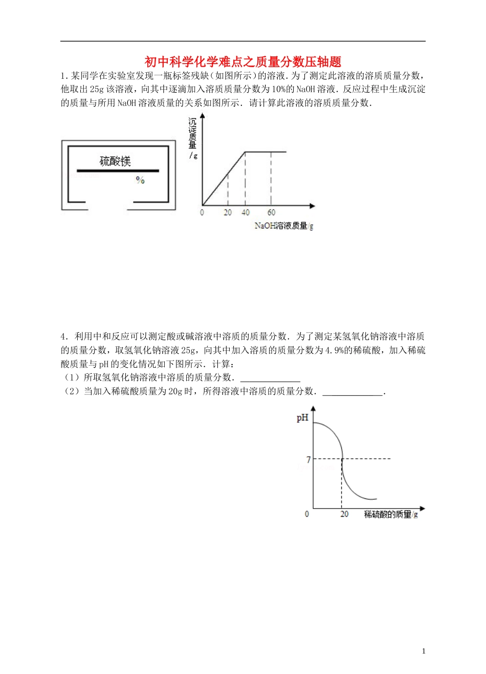 【冲刺中考】中考化学难点突破专题23 质量分数压轴题_第1页