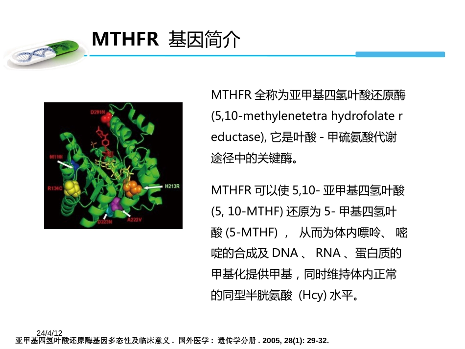 MTHFR基因检测与叶酸代谢(产科方向)(全文)_第3页