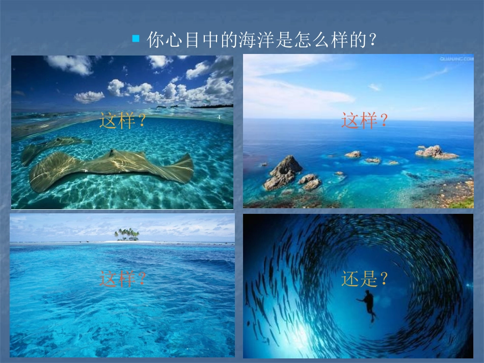 保护海洋公益广告方案[32页]_第3页