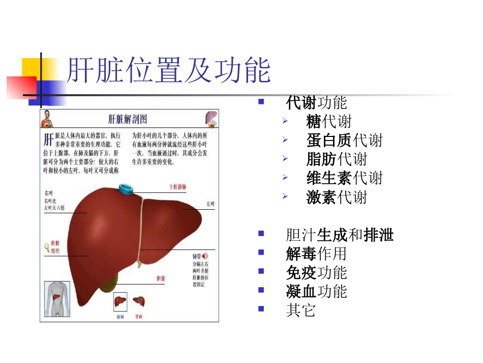 病毒性肝炎的防治[29页]_第3页