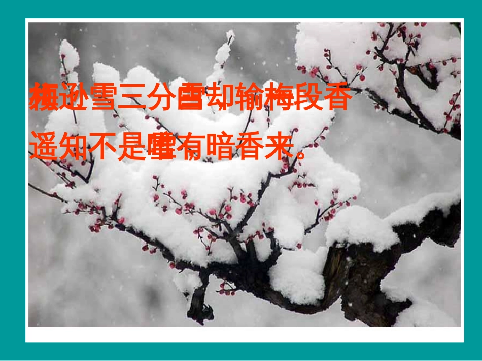 卜算子·咏梅[28页]_第3页