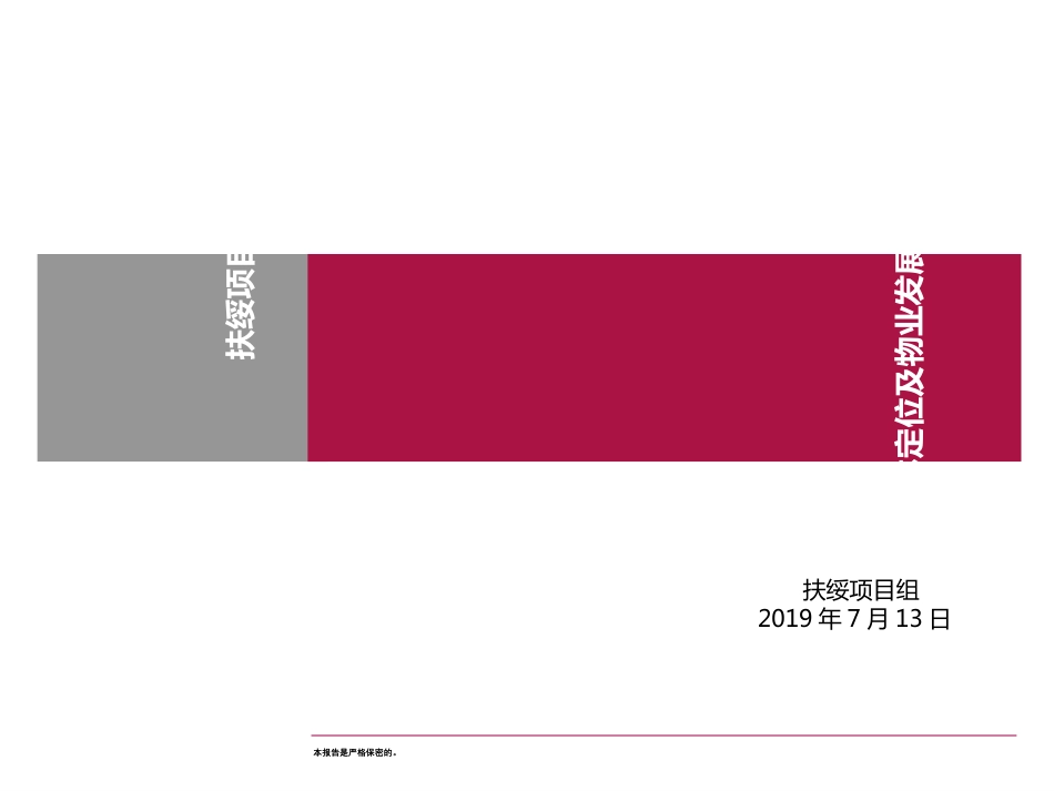 崇左市扶绥项目整体定位及物业发展建议_第1页