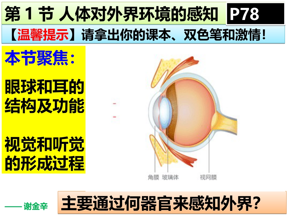 第1节人体对外界环境的感知课件_第1页