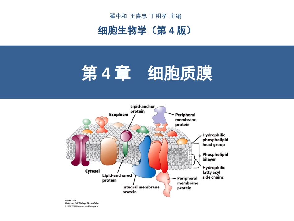 第4章细胞质膜(翟中和第四版)_第1页