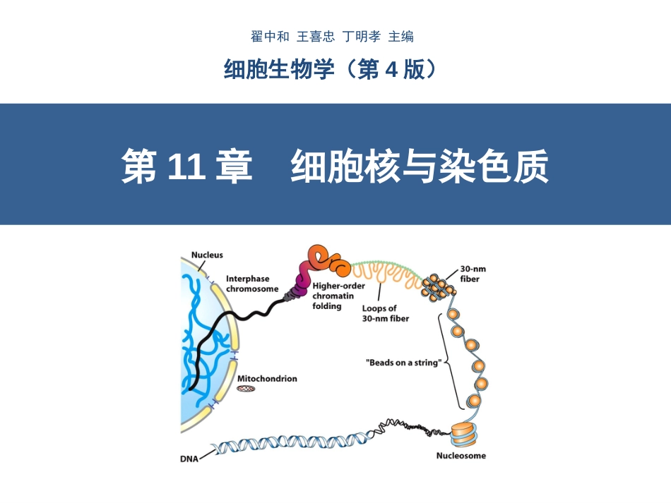 第11章细胞核与染色质(翟中和第四版)[107页]_第1页