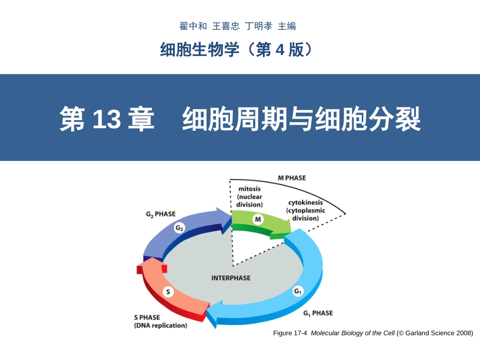 第13章细胞周期与细胞分裂(翟中和第四版)_第1页