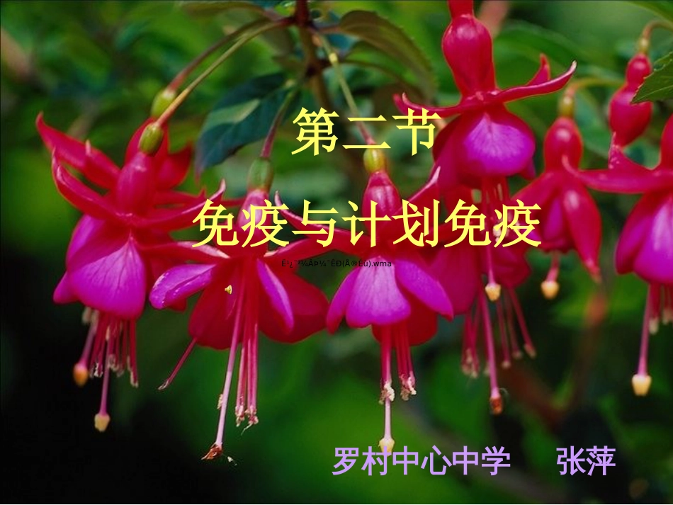 第二节免疫与计划免疫(共29张PPT)_第1页