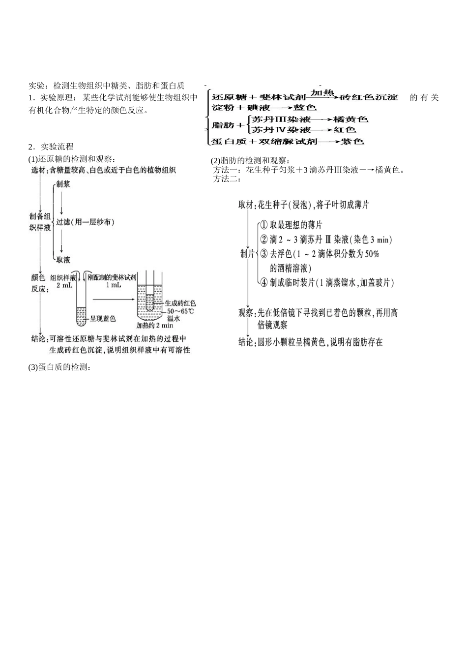 第二章第一节细胞中的元素和化合物知识点梳理[7页]_第3页