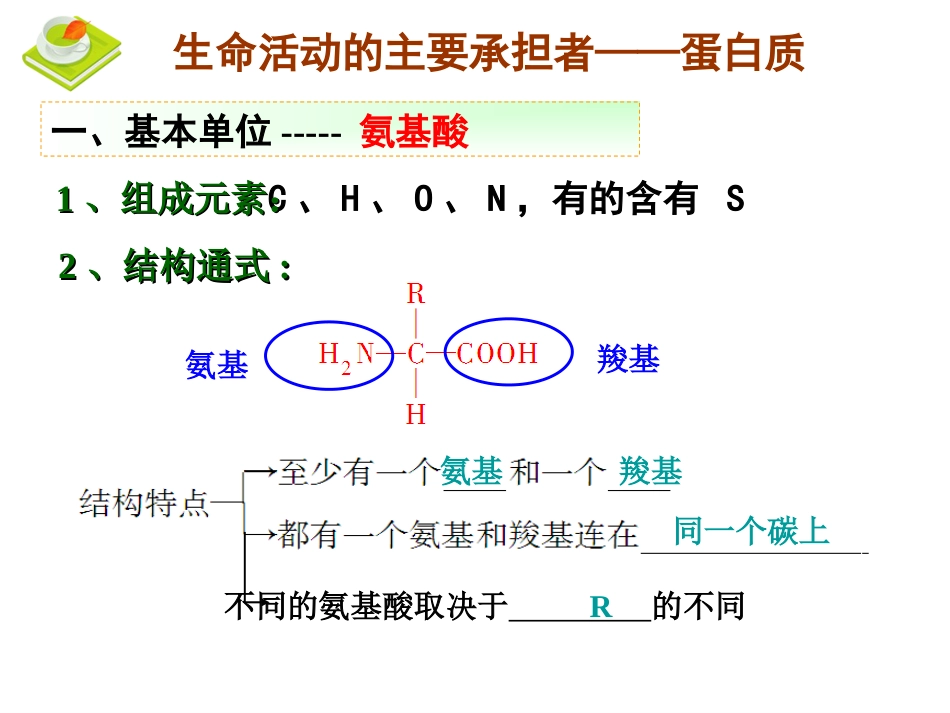 第三讲蛋白质与核酸一轮复习_第3页