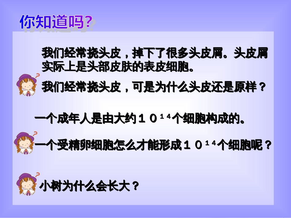 动物细胞的有丝分裂PPT课件[20页]_第1页