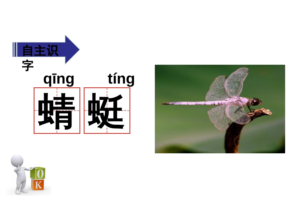 公开课5动物儿歌[46页]_第3页