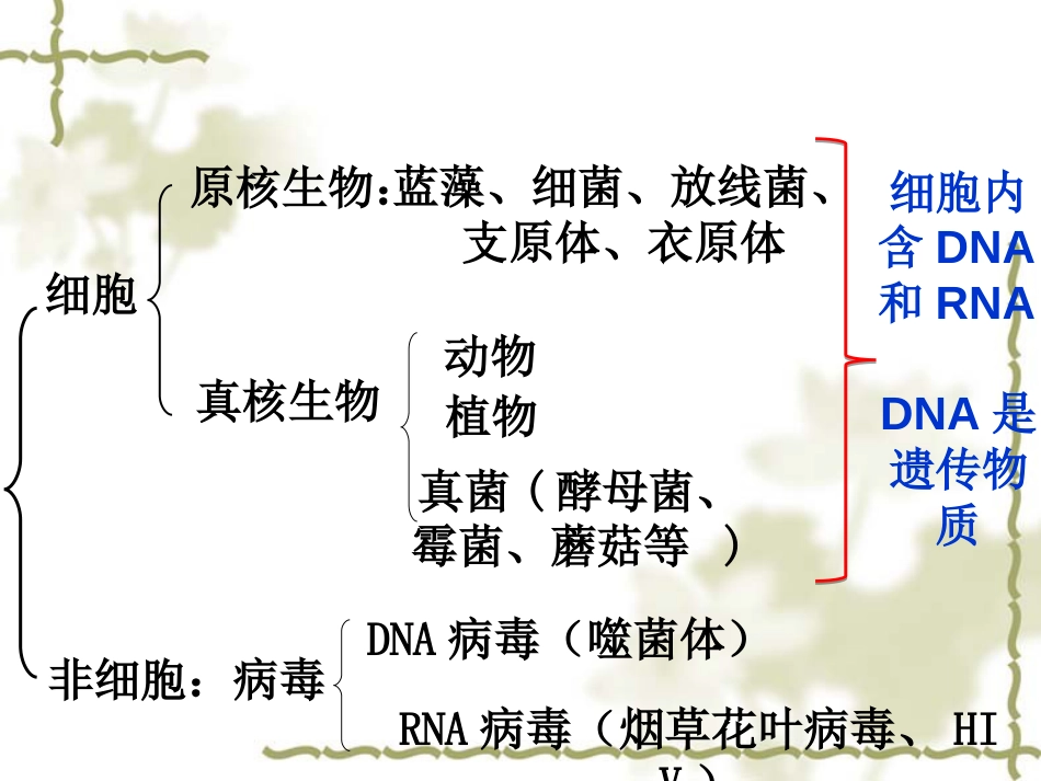 核酸一轮复习(整理)[47页]_第3页