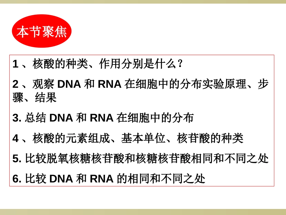 核酸一轮复习用[30页]_第2页