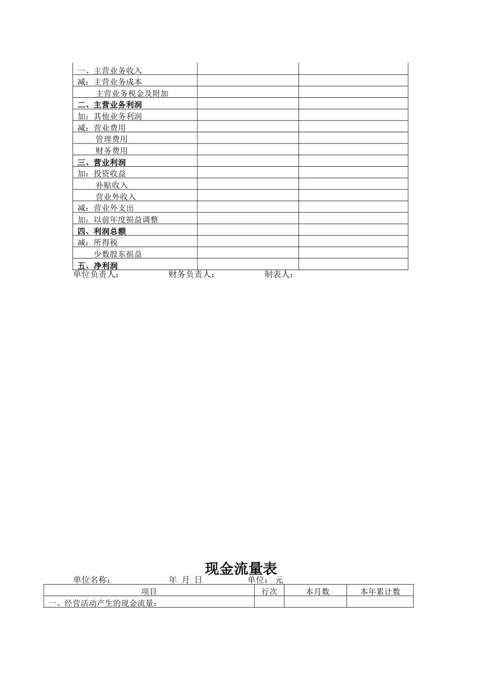 会计三大表会计表格_第2页