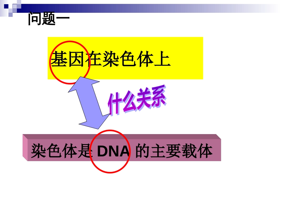 基因是有遗传效应的DNA片段(好)概述[35页]_第3页