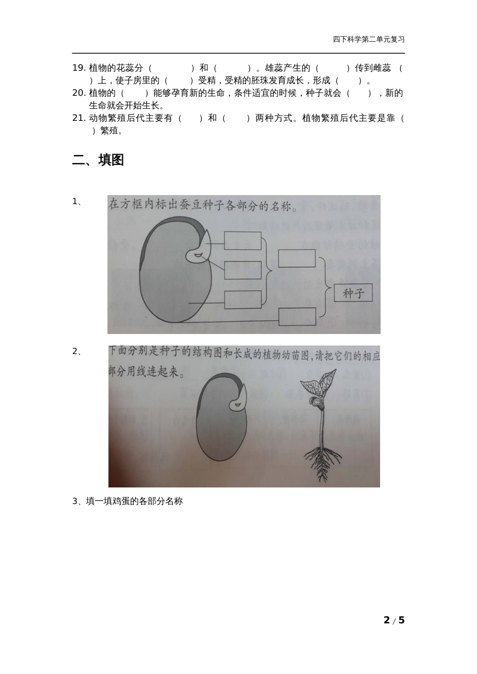 教科版科学四年级下册第二单元期末复习资料[4页]_第2页