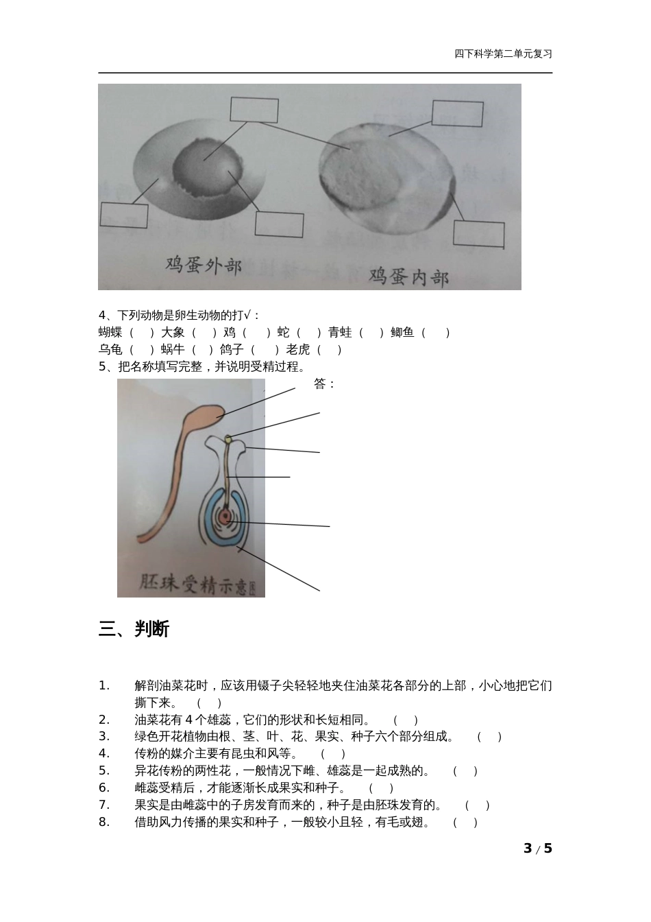 教科版科学四年级下册第二单元期末复习资料[4页]_第3页