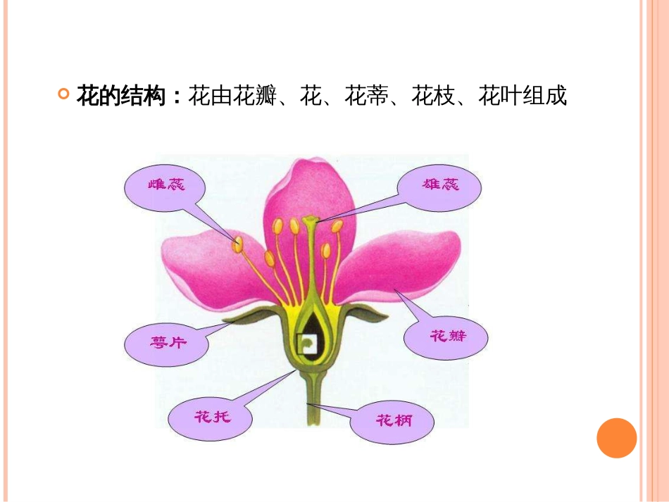 教学简笔画草木[39页]_第3页