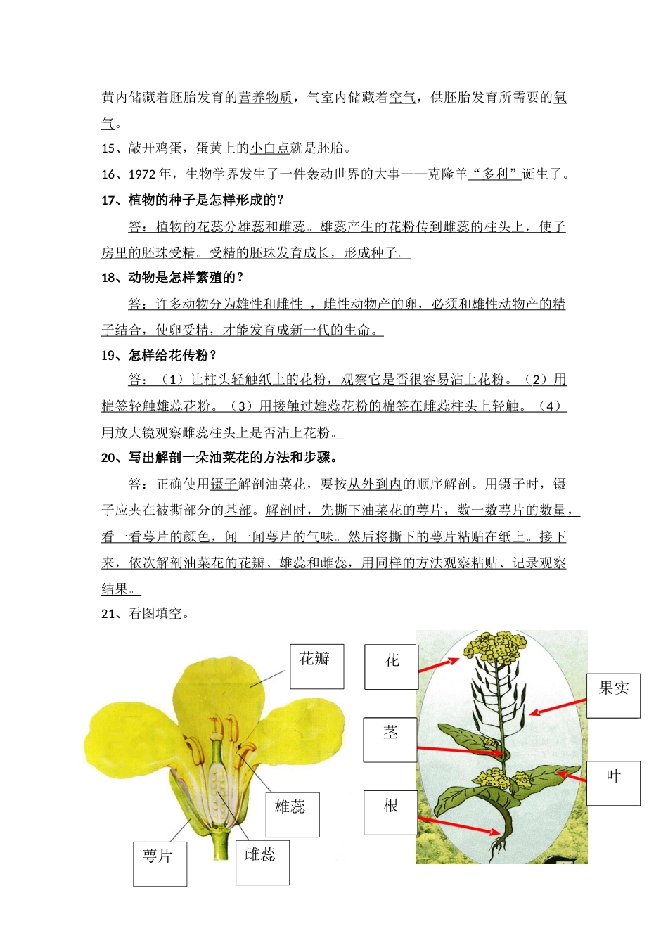 科学四年级下册第二单元知识点[4页]_第2页