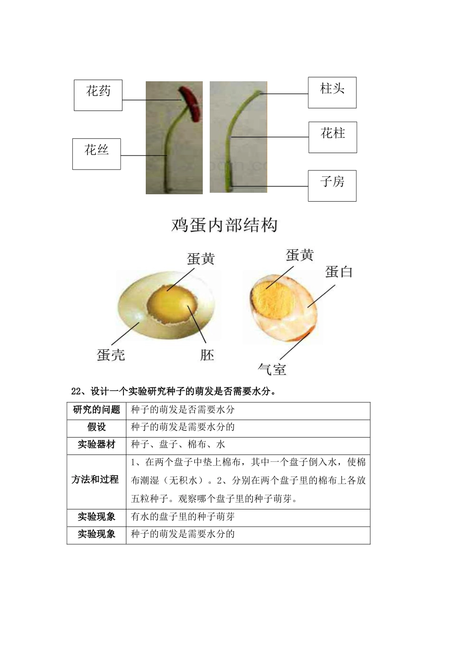 科学四年级下册第二单元知识点[4页]_第3页