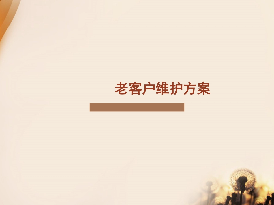 老客户维护方案[23页]_第1页