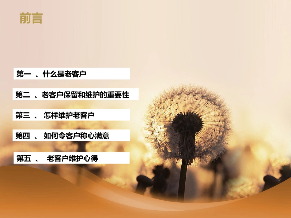老客户维护方案[23页]_第2页