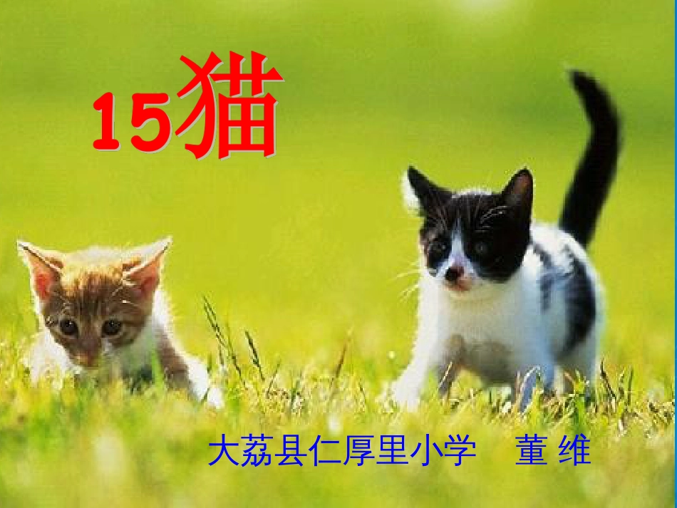 老舍《猫》ppt课件(26页)_第1页