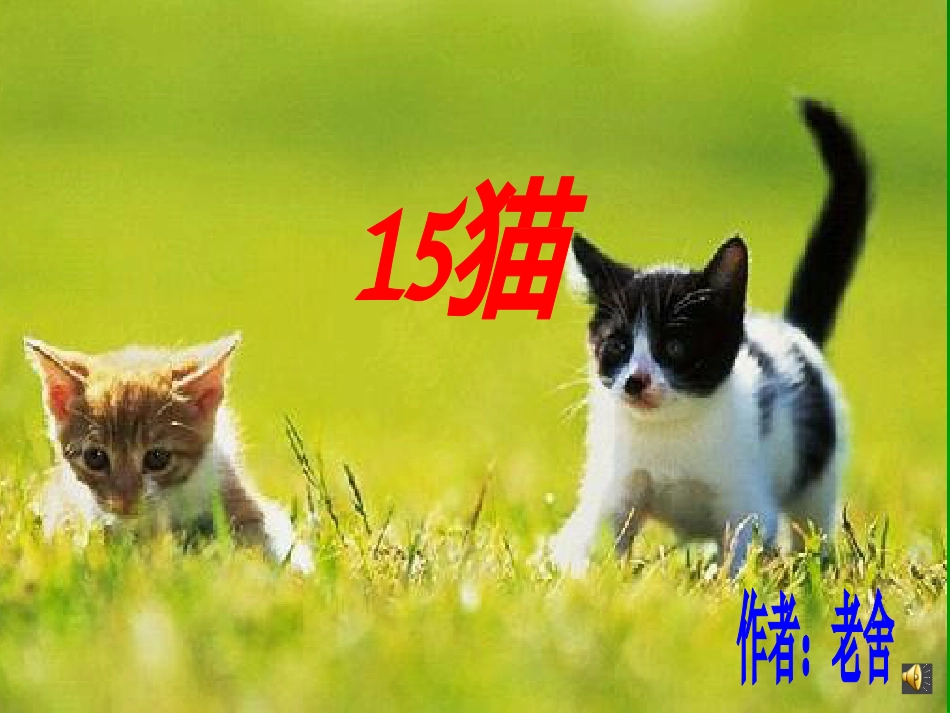 老舍猫PPT课件[29页]_第1页