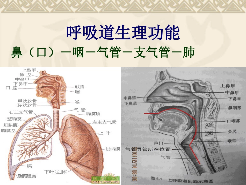 气管切开的护理PPT课件ppt课件_第3页