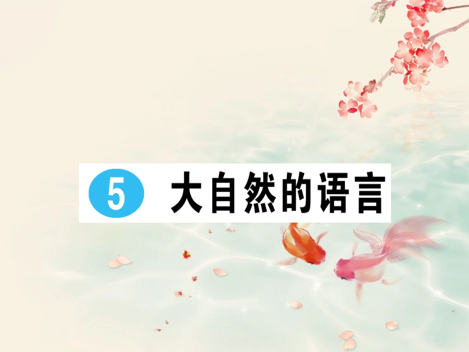 人教版八年级下(初二下)语文精品单元复习、半期期末复习、作业评讲课件：二单元_第2页
